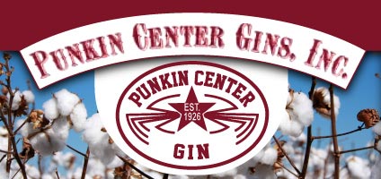 Punkin Center Gin