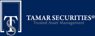 Tamar securities